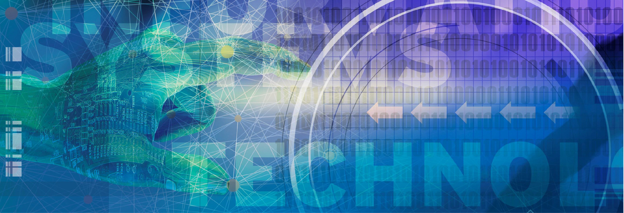 Information Systems Technology