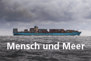 Teaser Sea and Men